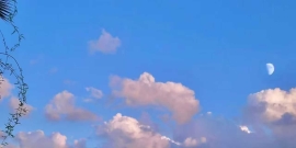 山东女孩求供养